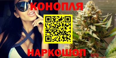 прущий лед Пугачёв